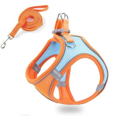 China Thoughtful Pet Thoughtful Mesh Dog Cat Harness and Leash Set for sale