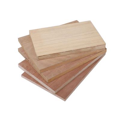 China Modern Manufacturer Supply Eucalyptus Whole Furniture Multilayer Wood Panel for sale