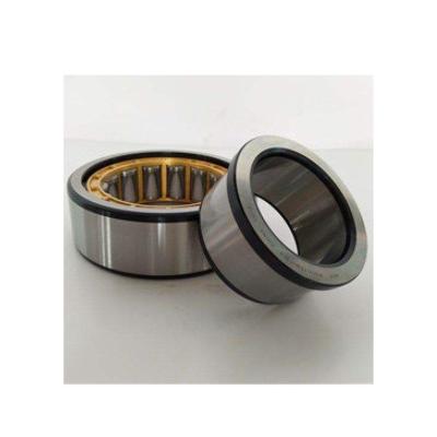 China Garment Shops Most Popular Nup306ev Roller Bearing For Machinery Repair Shops for sale