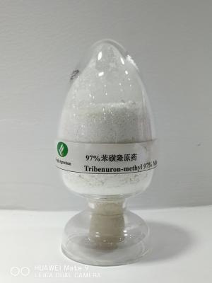 China Agrochemical Pesticide Tribenuron-Methyl White power 97% TC for sale