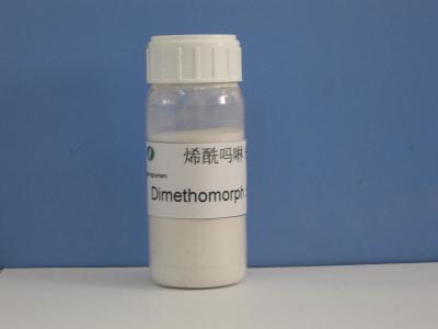 China Dimethomorph 50%WP , Fungicides , Agrochemical Pesticide,CAS 110488-70-5 , Dowy Mildew Of  Cucumber / Fruit Tree for sale