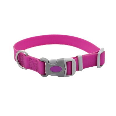 China Personalized Durable Waterpro Coated Webbing Dog Collar for Outdoor Fun, Purple for sale