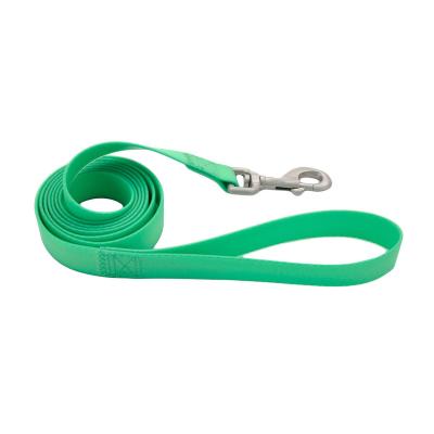 China Personalized Durable Waterpro Coated Webbing Dog Leash for Outdoor Fun, Aqua for sale