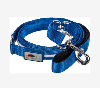 China Custom Made in China Top Quality Blue LED Lighting Dog Leash for sale