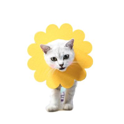 China Factory New Product Viable Skin Protection Ring Sunflower Cat Elizabeth Light Collar for sale