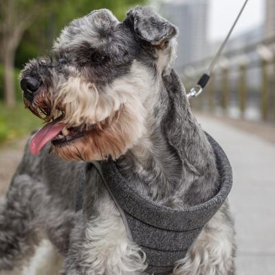 China Workmanship High Quality Ultra Light Trunk Traction Dog Harness for sale