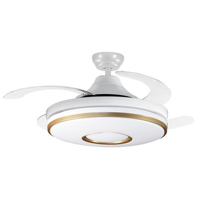 China Modern Fancy LED Ceiling Fan Light Remote Control Luxury Ceiling Fan For Living Room Home Lighting Ceiling Fan With Hidden Blades for sale