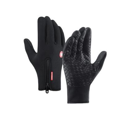 China Modern Full Finger Touch Screen Outdoor Sports Bike Racing Motorcycle Riding Gloves for sale