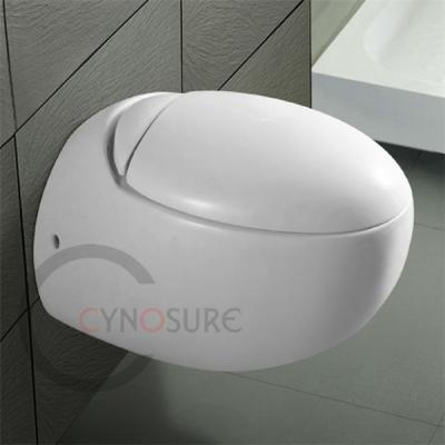 China Hidden Egg Shaped Tank CE Watermark Wels Toilet Colorful Classic Wall Mounted Toilet for sale