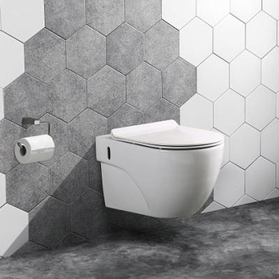 China White Round Hidden Wall Hung Flushing Toilet Rimless Tank Sets For Farmhouse Villa Apartment Bathroom for sale