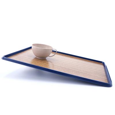 China Atlas 1/1 Restaurant Hotel Meal Tray Home Airlines Atlas Normal Cabin Item Tray for sale