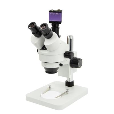 China EOC 0.7 - VGA 4.5x Zoom Camera 1.3MP Stereo Trinocular Microscope SMZ-0745T for sale