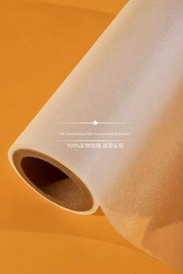 China Multiple Extrusion Hot Lamination Film Rolls With Premium EVA For Magazines for sale