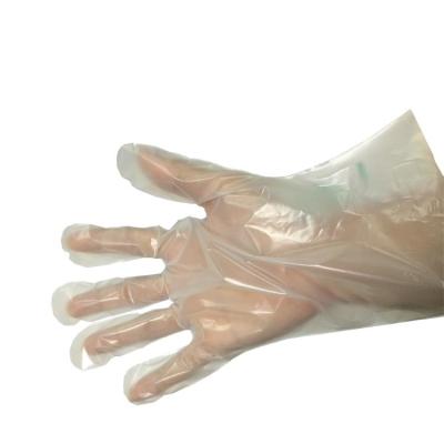 China Guantes disponibles biodegradables abonablees de 200 micrones el 100% en venta