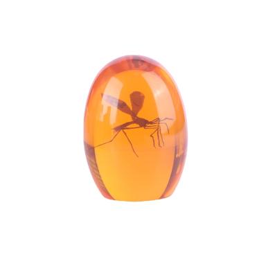 China Modern New Arrival Table Decorations Jurassic Park Mosquito Amber Resin Transparent Paper Weight for sale