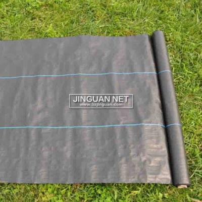 China Agricultural Use PP Plastic Cloth Grass Ground Cover Anti Weed Control Mat for sale