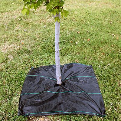 China 1x10 Meter/Piece Black HDPE With Green Line Ground Cover Anti Weed Mat 1x10 Meter Piece for sale