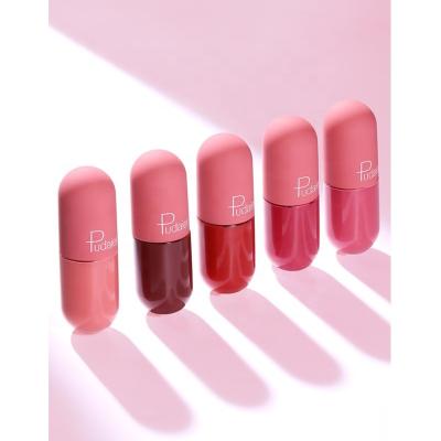 China Pudaier Waterproof Mini Capsule Lipgloss Private Label Matte Lip Gloss Waterproof Lasting for sale