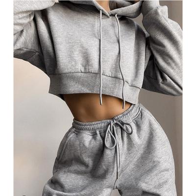 China 2022 New QUICK DRY White Brown Jogger Tracksuit 2Pcs Sets Teams Womens Tracksuits Custom Women's Sweatsuit for sale