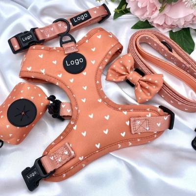 China 2022 Custom Soft Neoprene Padded Padded Colorful Puppy Harness Set With Matching Collar Leash Set for sale