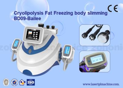 China RF Cryolipolysis Slimming Machine dual frequency cavitation cryolipolysis vacuum machine for sale