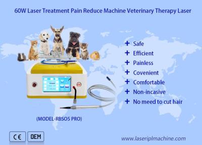 China terapia veterinaria del laser del diodo 980nm para la curación de la herida de los animales domésticos en venta