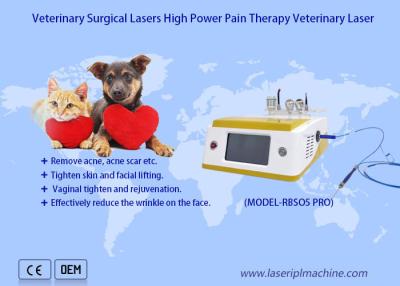 China Los animales domésticos duelen el dispositivo veterinario del laser de la terapia del laser del diodo quirúrgico 980nm de la recuperación en venta