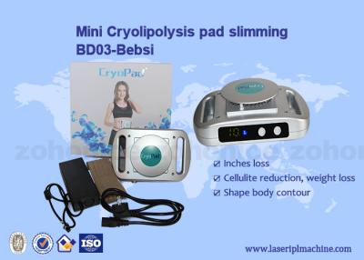 Cina Uso domestico dimagramento 220v/110v di Mini Cryolipolysis Machine in vendita