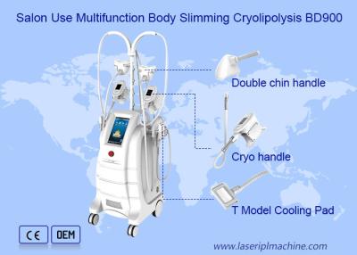 China Salon-Gewichtsverlust 800VA Cryolipolysis, das Maschine abnimmt zu verkaufen