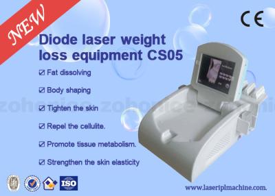 China Portable 650nm Diode Cold Laser Device 1Hz - 1000Hz For Cellulite Removal for sale