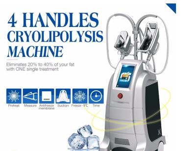 China ETG50-4S fat weight loss reduction cryo slimming 4 handles criolipolisis machine for sale