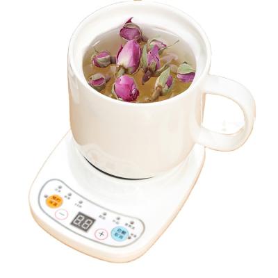 China Electric Kettle YOUR BEST Mini Kettle Health Desktop Stew Cup Hot Milk Stew CHOICE Electric Oatmeal Cup Small Portable Hot Water Cup for sale