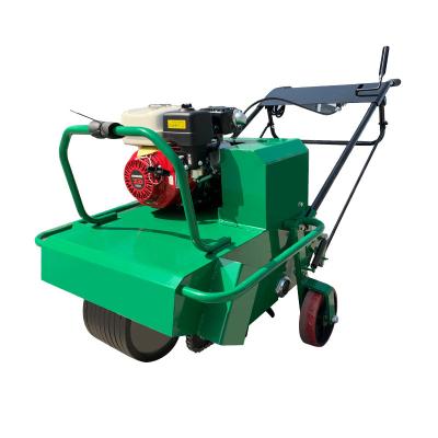 China Farms Hand-pushed Lawn Driller Planting Breathable Lawn Maintenance Driller Grass Root Nailing Machine for sale