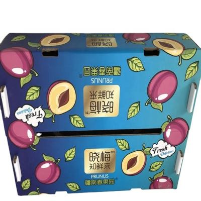 China Recycled Materials Fresh Sweet Fresh Prunus Fruit Shipping Carton Packaging Box for sale