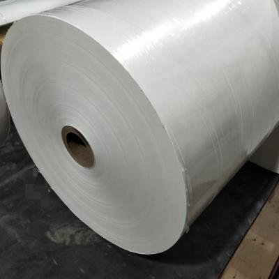 China Virgin Factory Price PE Coated Paper Jumbo Rolls For Making Paper Cups for sale