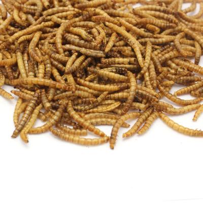 China Mealworms Viable Dry Bird Food for sale