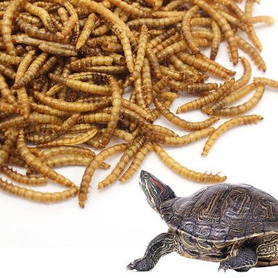 China Freeze Dried High Quality Viable Mealworm Bird Food Turtle Food Made in China for sale