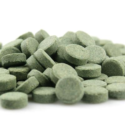 China Viable Spirulina tablet food for small tropical fish and cichlid fish for sale