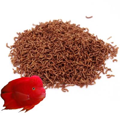 China Viable Freeze Dried Bloodworm For Aquarium Fish Tropical Fish Food for sale