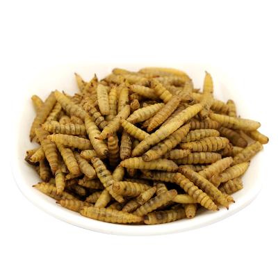 China Viable Dried Black Soldier Fly Mealworms For Aquarium Bird And Fish And Turtle Food for sale