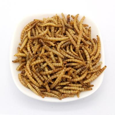 China 2020 high quality dry mealworms viable for turtle and aqarium fish bird food for sale