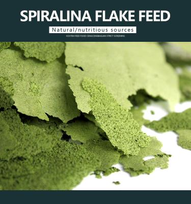 China Viable Aquarium Fish Food Spirulina Flake Fish Feed for sale