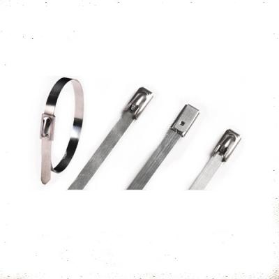 China self-locking type reusable stainless steel nylon cable tie / cable ties nylon/ plastic cable tie sizes for sale