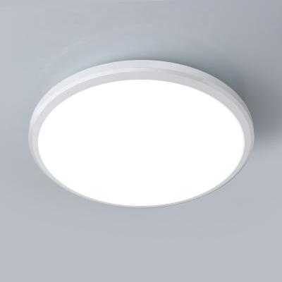 China Hot-selling modern ceiling lamp is suitable for restaurant iron led residential general waterproof ceiling light for sale