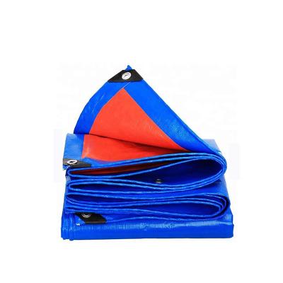 China Wind Proof Plastic Tarpaulin Virgin Pe Tarpaulin Scaffolding Tarpaulin for sale