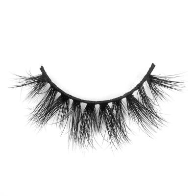 China YC volume whips 15mm D section 30mm 3D and 5D mink lashes for sale