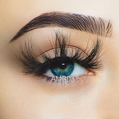 China YC Reusable Lashes 25mm AMB Mink Lashes for sale