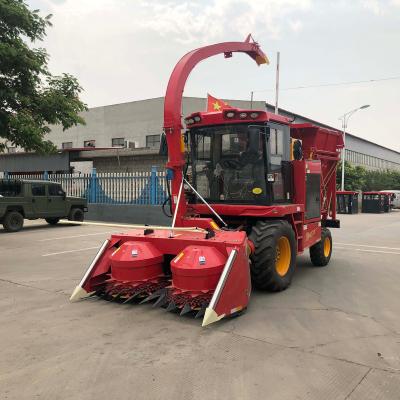 China Hot Selling Powerful Self Propelled Corn Forage Harvester With 2m Cutting Width for sale