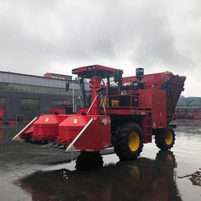 China TIANREN New Powerful Self-propelled Maize Forage Harvester for sale