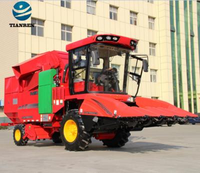 China Best Agricultural Machinery TIANREN 4 Row Small Corn Harvester Self Propelled For Lean And Low Corn for sale